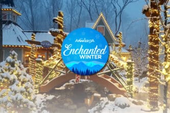 enchanted slide homepage-01-02-02