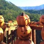 pumpkins on the mountain at anakeesta