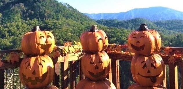 pumpkins on the mountain at anakeesta