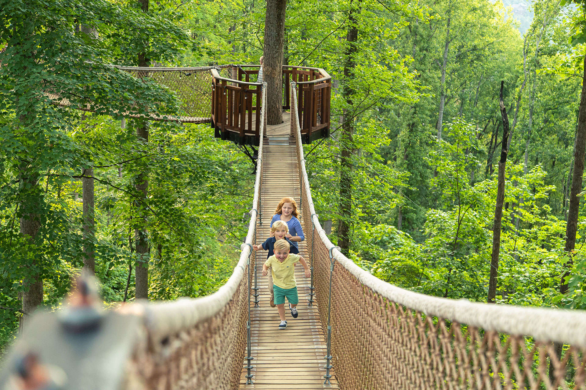 18 of the Best Things to do in Gatlinburg with Kids The Family