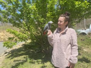 Rare Bird Lands at Anakeesta