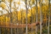 FALL-at-Anakeesta10-scaled-900x600_c