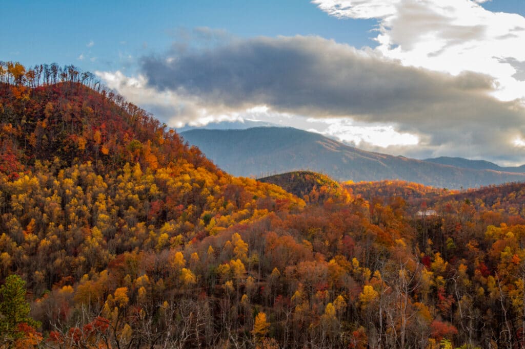 Fall foliage views from Anakeesta