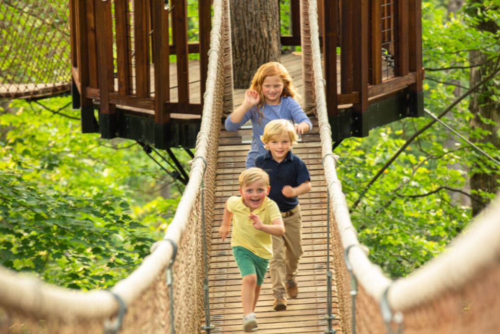 Kids run across the TreeTop Skywalk at Anakeesta