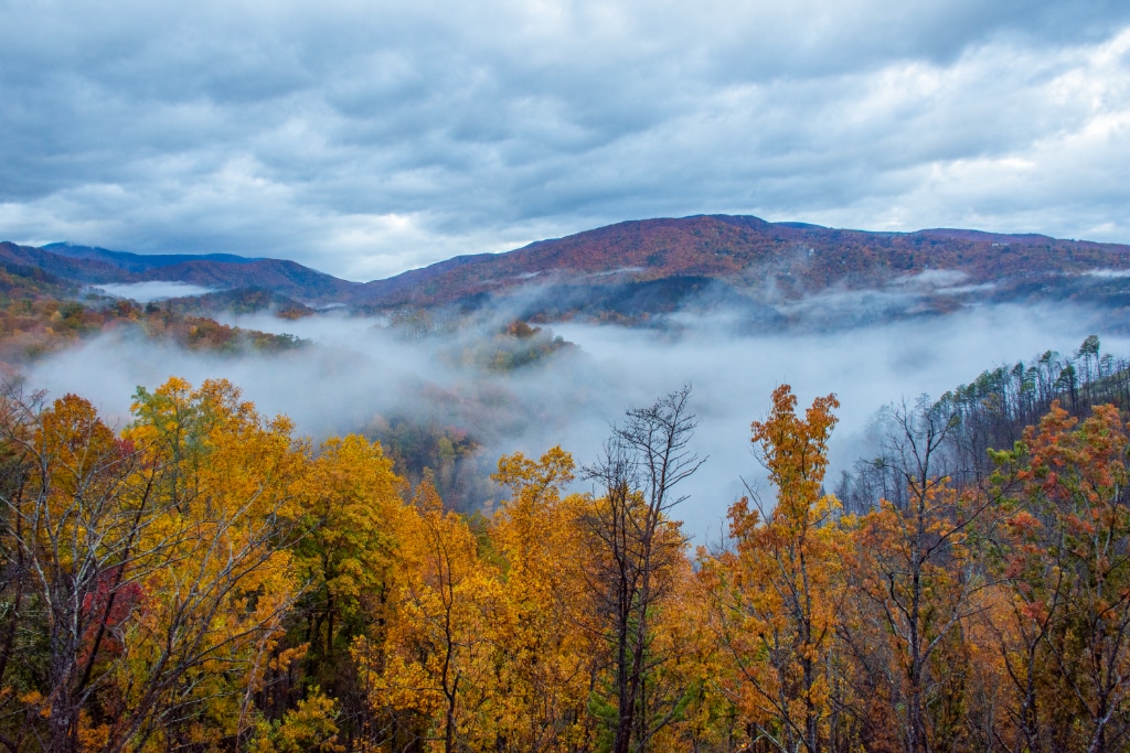 Smoky Mountain colors from Anakeesta
