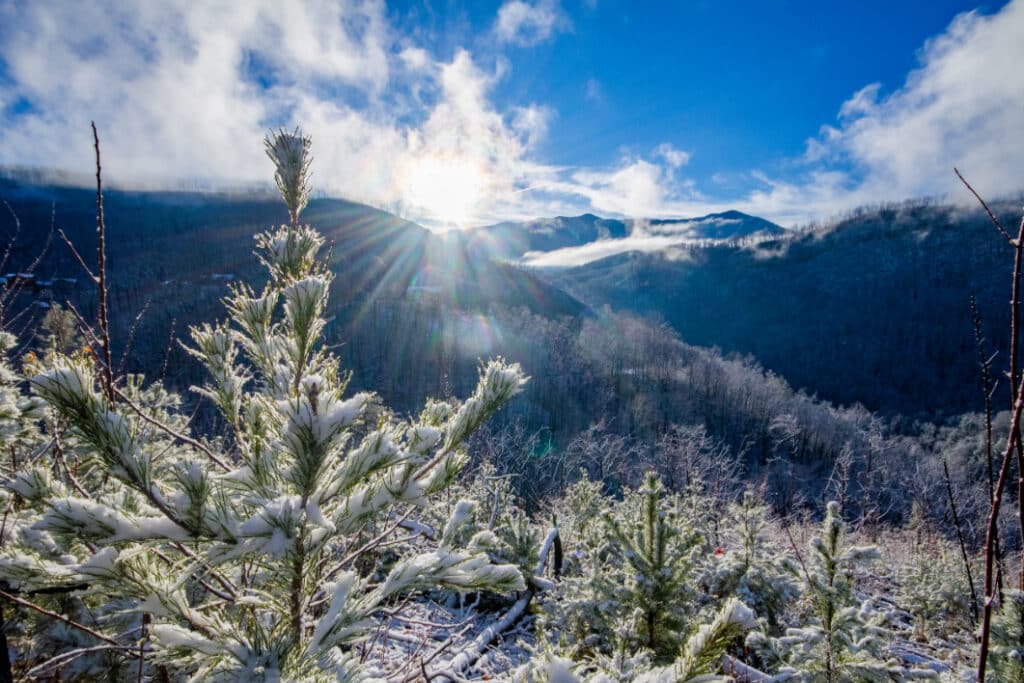 Wintertime in the Smokies at Anakeesta