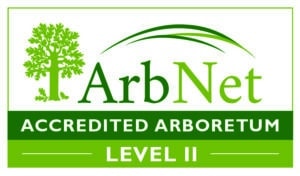 ArbNet Badge level two