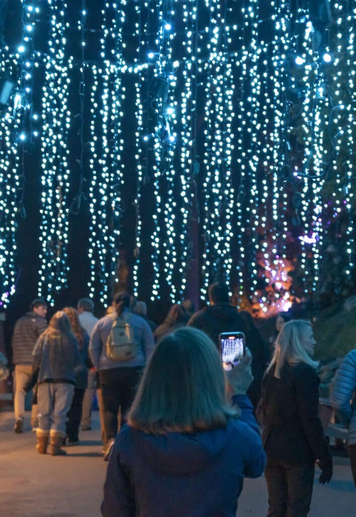 Artic Alley Christmas Lights