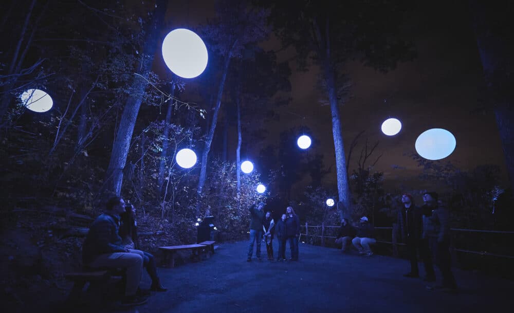 Anakeesta_ASTRALUMINA_MomentFactory_7