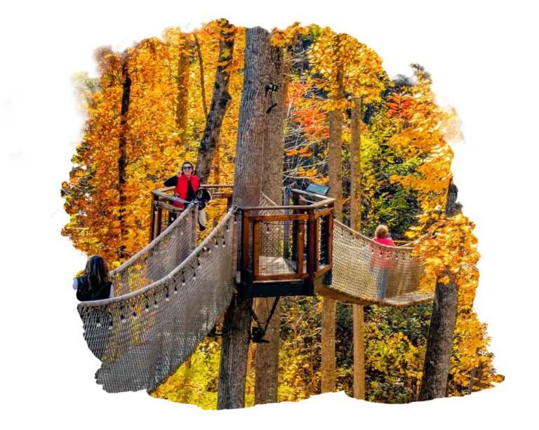 23-ANAKEESTA-1357-GraphicsRPP - Website thumbs annual pass