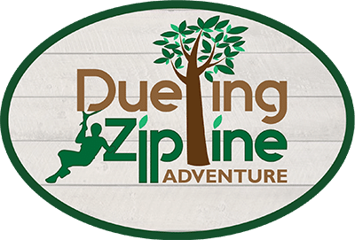 Dueling Zipline logo