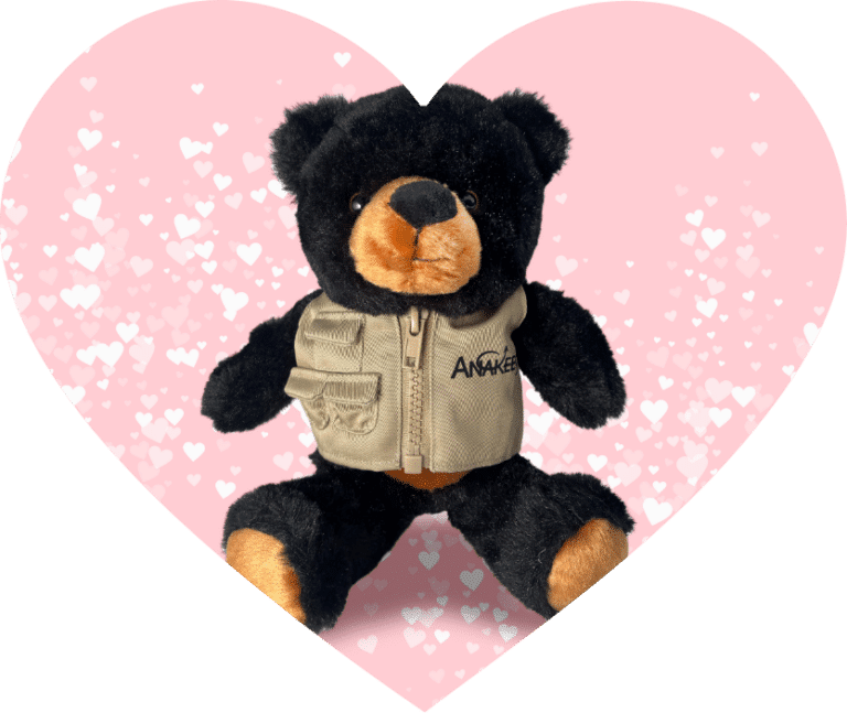 VDay_Bear