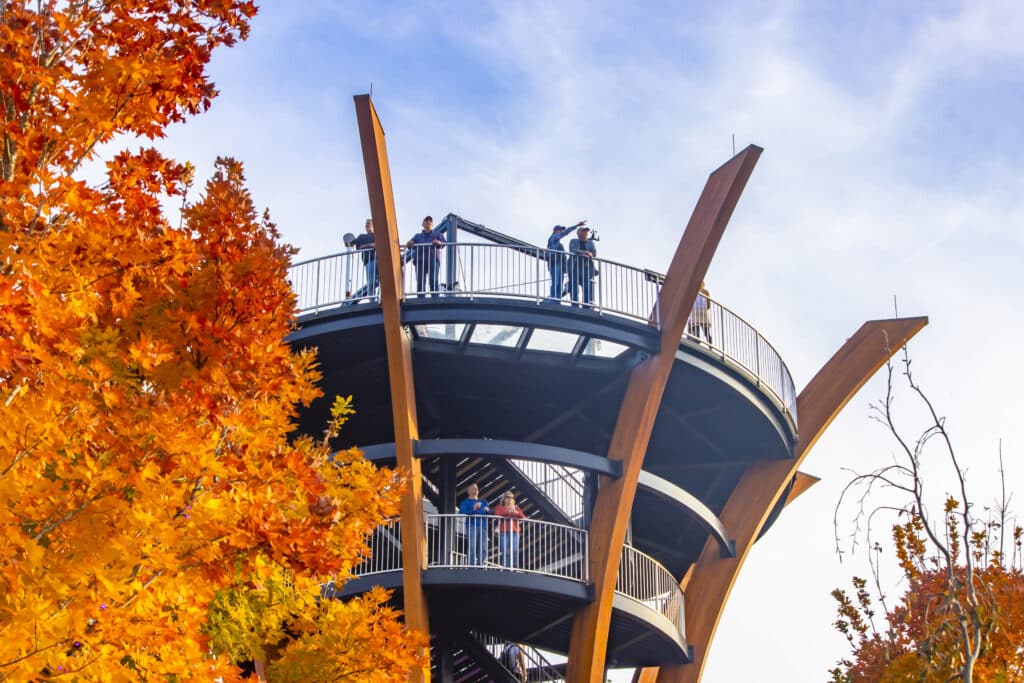 Anakeesta Fall Header