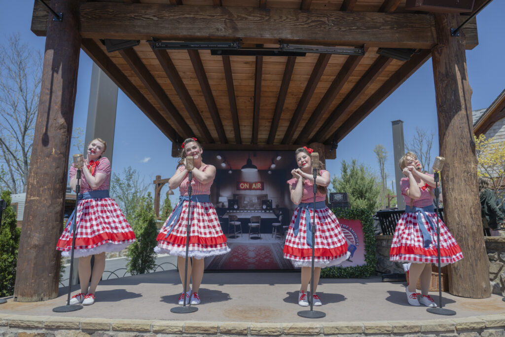 Live Performers in Anakeesta