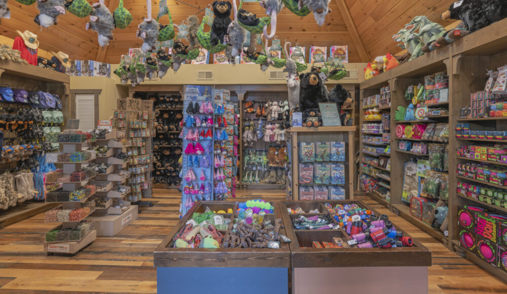 Willow's Workshop Retail Toy Store