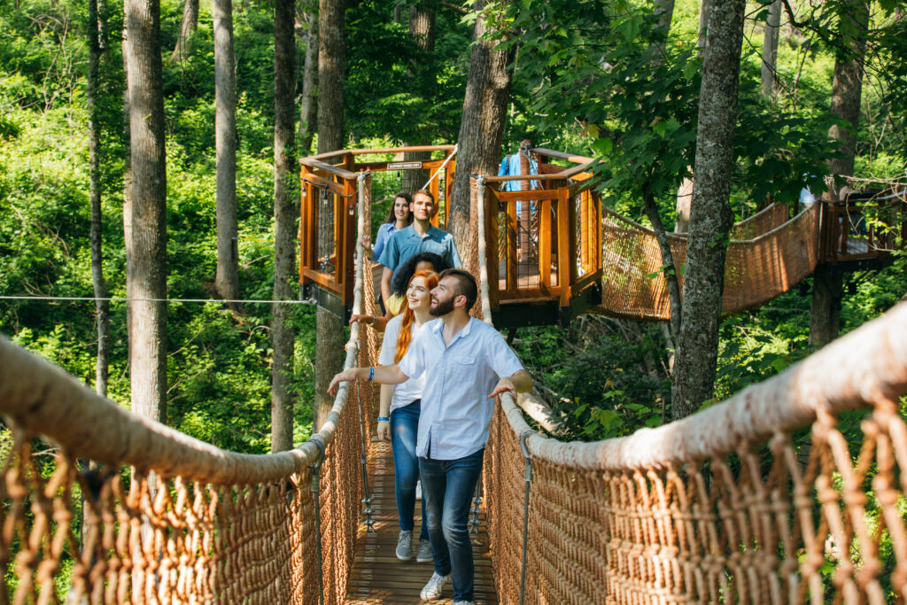 A Group of Friends Enjoy the TreeTop Skywalk at Anakeesta