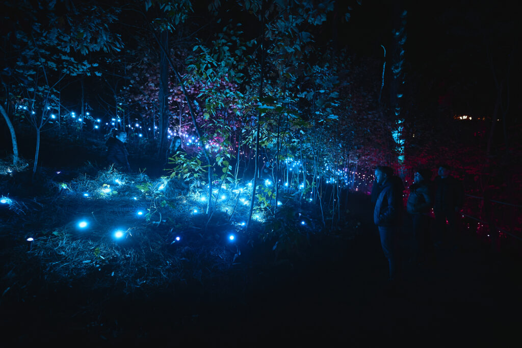Anakeesta_ASTRALUMINA_MomentFactory_15