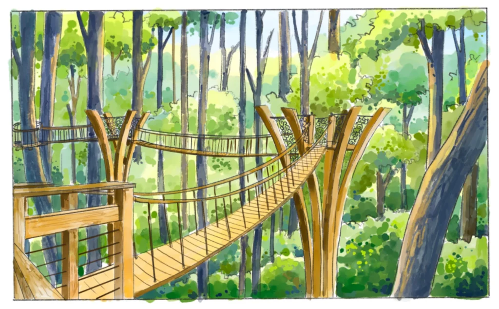 TreeTop