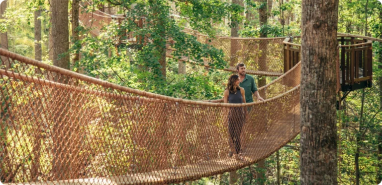 Vision_TreetopSkywalk