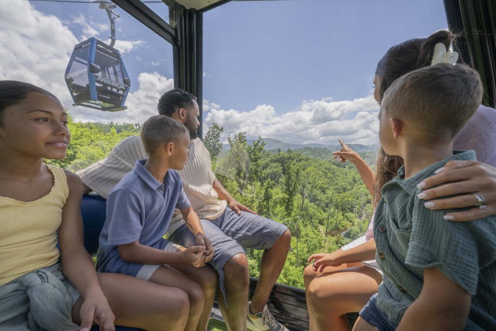 Crystal Express Gondola